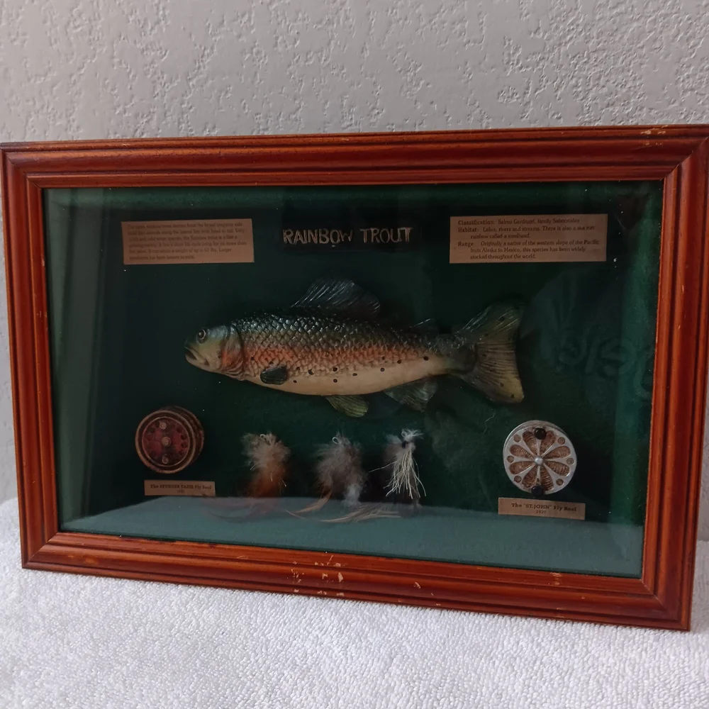 Brown and Green Fish Decor with Framed Accessories